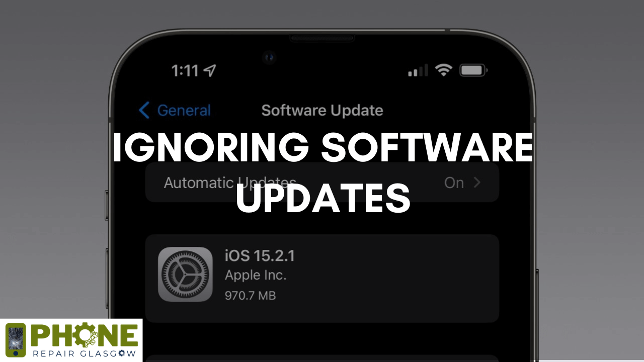 Ignoring Software Updates